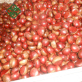 sweet fresh chestnuts with best price